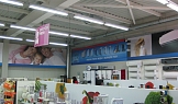 Декоративни пана