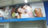 Декоративни пана